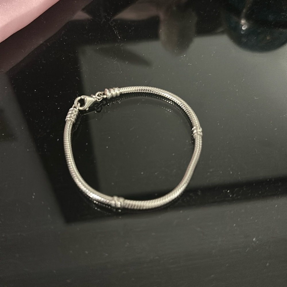 Pandora charm bracelet